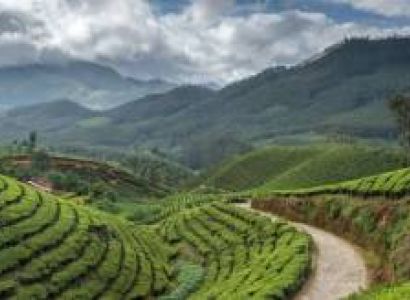 4 Nights - 5 Days - Kerala Tour