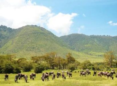 1-Days Amazing Trip To Arusha National Park