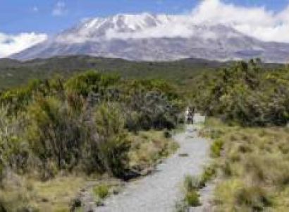 7-Days Rongai Route - Kilimanjaro Trekking Tour