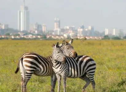 Kenya Group Trip 4 Nights - 5 Days