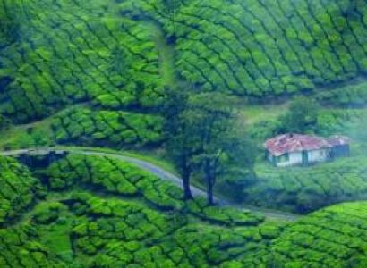 Kerala - God Own Country Tour