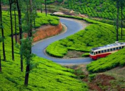 Munnar - Thekkady - Alleppey - Varkala Tour
