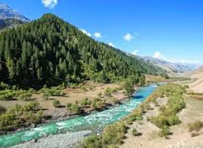 Gateway To Kashmir 4N - 5D 4 Star Package