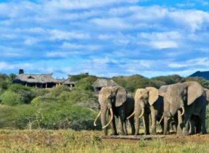 6 Days Coastal Relaxation And Wildlife Safari Tour