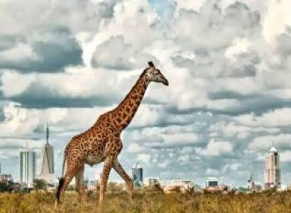 Explore Kenya In 8 Days Tour