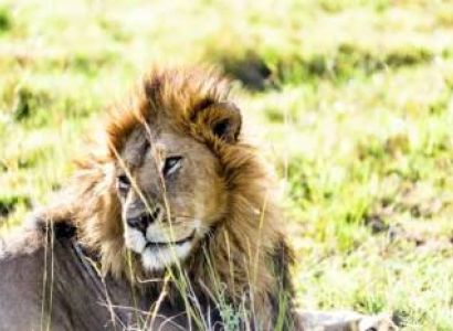 6 Days Maasai Cultural Safari In Kenya Tour