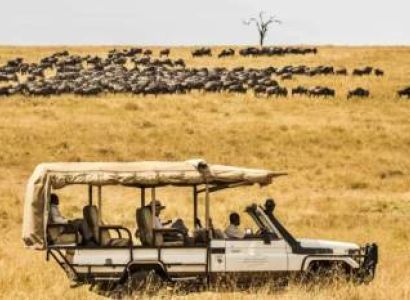 Three-Day Mara Private Safari Tour