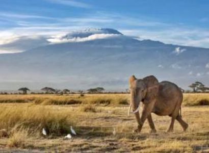 Overnight Safari To Amboseli National Park Tour