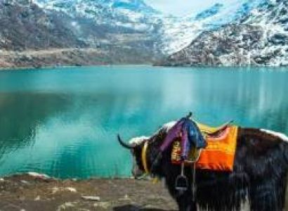 6 Night - 7 Days Gangtok Darjeeling Tour Packages