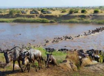 12-Day Great Migration Specialized Tour
