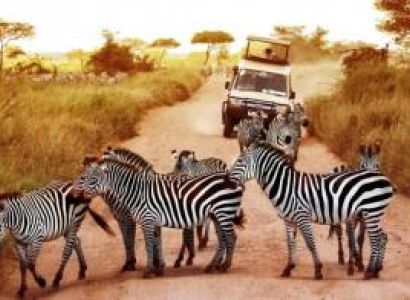 5-Day Short - Sweet Safari Tour