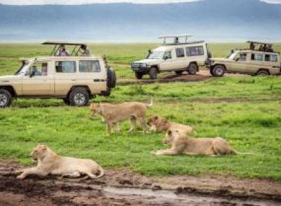 10-Day Family Adventure Safari Tour