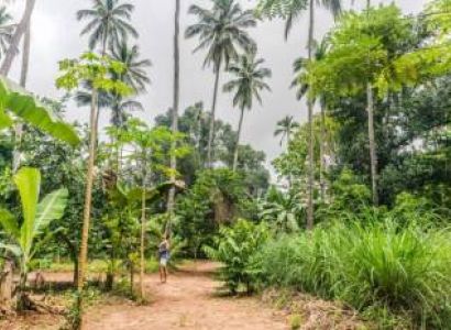 6-Day Zanzibar Spice - Sand Escape Tour