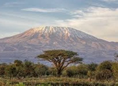 14-Day Ultimate Bush - Peak - Beach Tour