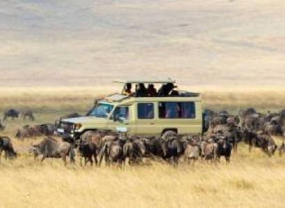 8-Day Luxury Photographic Safari Tour