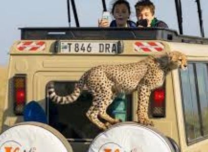 5 Days Tour in Tanzania