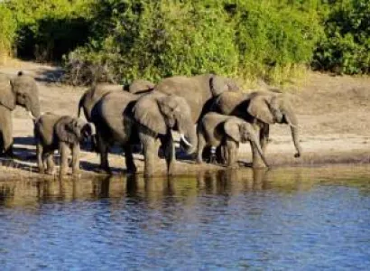 The Rare Five Northern Kenya Safari Tour