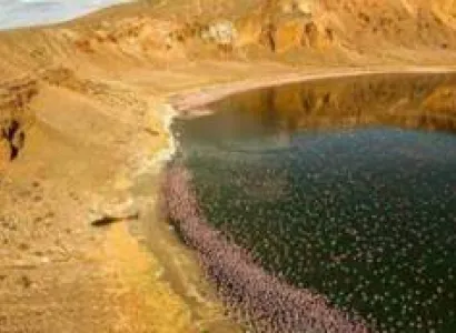 The Cradle Of Mankind Safari Tour