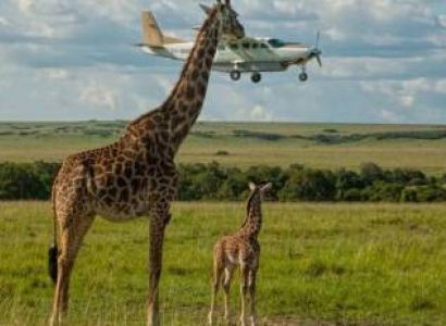 5 Night - 6 Days Governors Flying Safari Tour