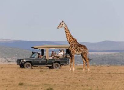 11 Night - 12 Days Hemingways Collection Safari Tour