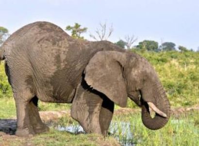 Day Trip Lake Manyara