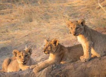 Day Trip Tarangire National Park