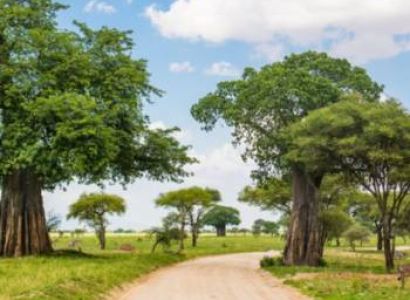 5-Day Unforgettable Tour Safari - Midrange