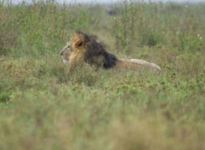 7-Day Wilderness Safari With Walking Expeditions Tour