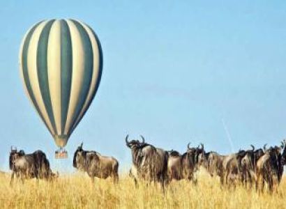 6 Days 5 Nights Serengeti Manyara Crater Safari Tour