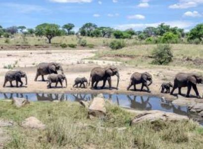 7 Days Tanzania Private Luxury Safari Tour