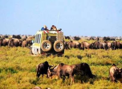 2 Days - 1 Night Tarangire Safari Tour