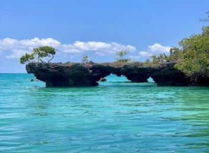 Zanzibar Full-Day Package: Spice Tour, Jozani Forest & Stone Town