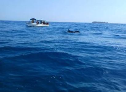 Mnemba Island Tour  ( A Half Day Trip)