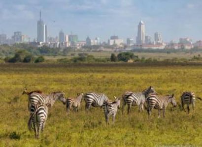 Nairobi Tour: Nairobi National park+Elephant opharnage+Giraffe centre