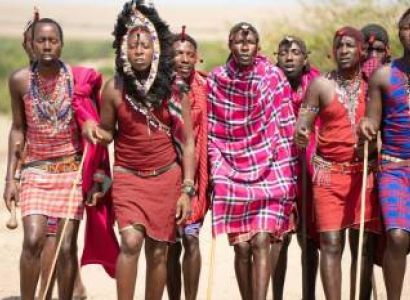 Wild & Culture Discovery