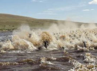 5 DAYS / 4 NIGHTS MAASAI MARA SAFARI