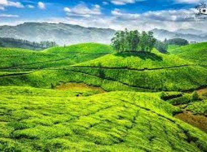3N - 4D Customizable Picturesque Ooty Vacay Tour