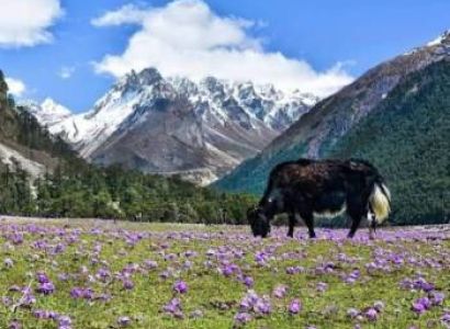 Gangtok & Lachung Tour Package - 6 Days Budget