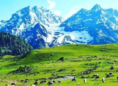5 Days Budget Srinagar & Pahalgam & Sonamarg & Gulmarg Tour Package