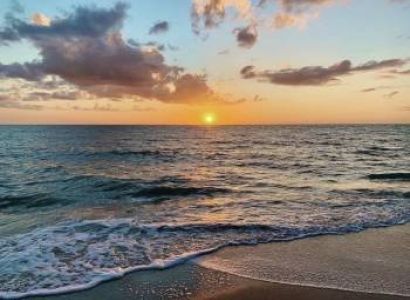 Kovalam & Alleppey & Munnar & Thekkady 6D/5N Budget Travel Package