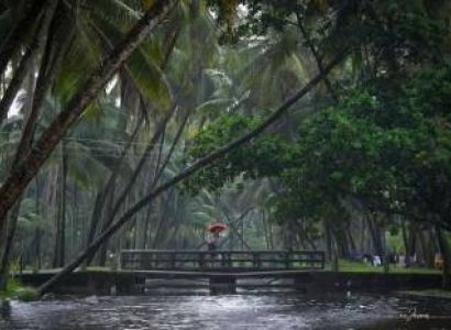 7 Days Kovalam & Thekkady & Munnar & Alleppey Budget Tour Package