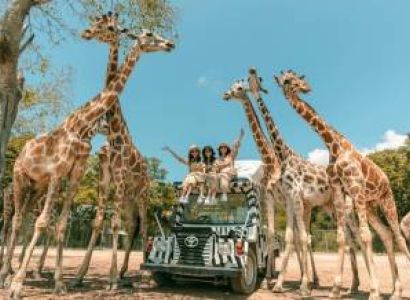 4 Days Bangkok Budget Holiday
