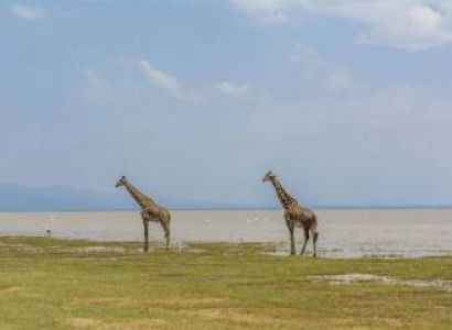Lake Manyara Day Tour - Wildlife - Scenic Adventure