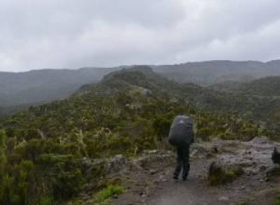 Lemosho Route 7 Days - Kilimanjaro Trek Adventure Tour
