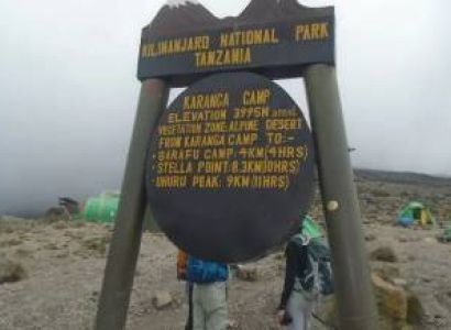Lemosho Route 8 Days - Kilimanjaro Tour