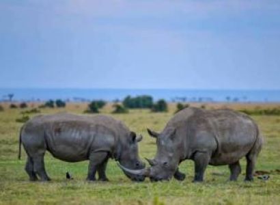 8-Day Adventure Into The Wild Tour