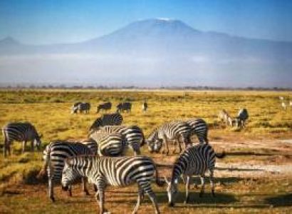 8 Days Luxury Kenya Safari Tour