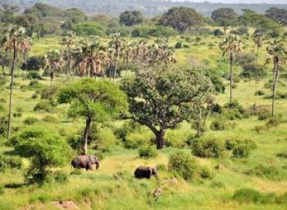 Day Trip to Lake Manyara National Park