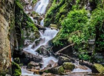 Manali - The Alpine Escape Tour