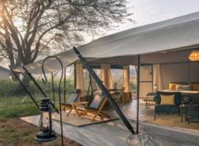 Tanzania Prestige Safari 4 Days Of Luxury - Wildlife And Unforgettable Memories Tour